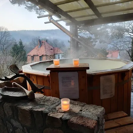 Апартаменты Sielsko Anielsko *